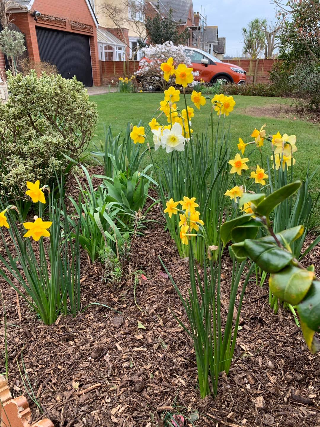 Landscape Designers Devon