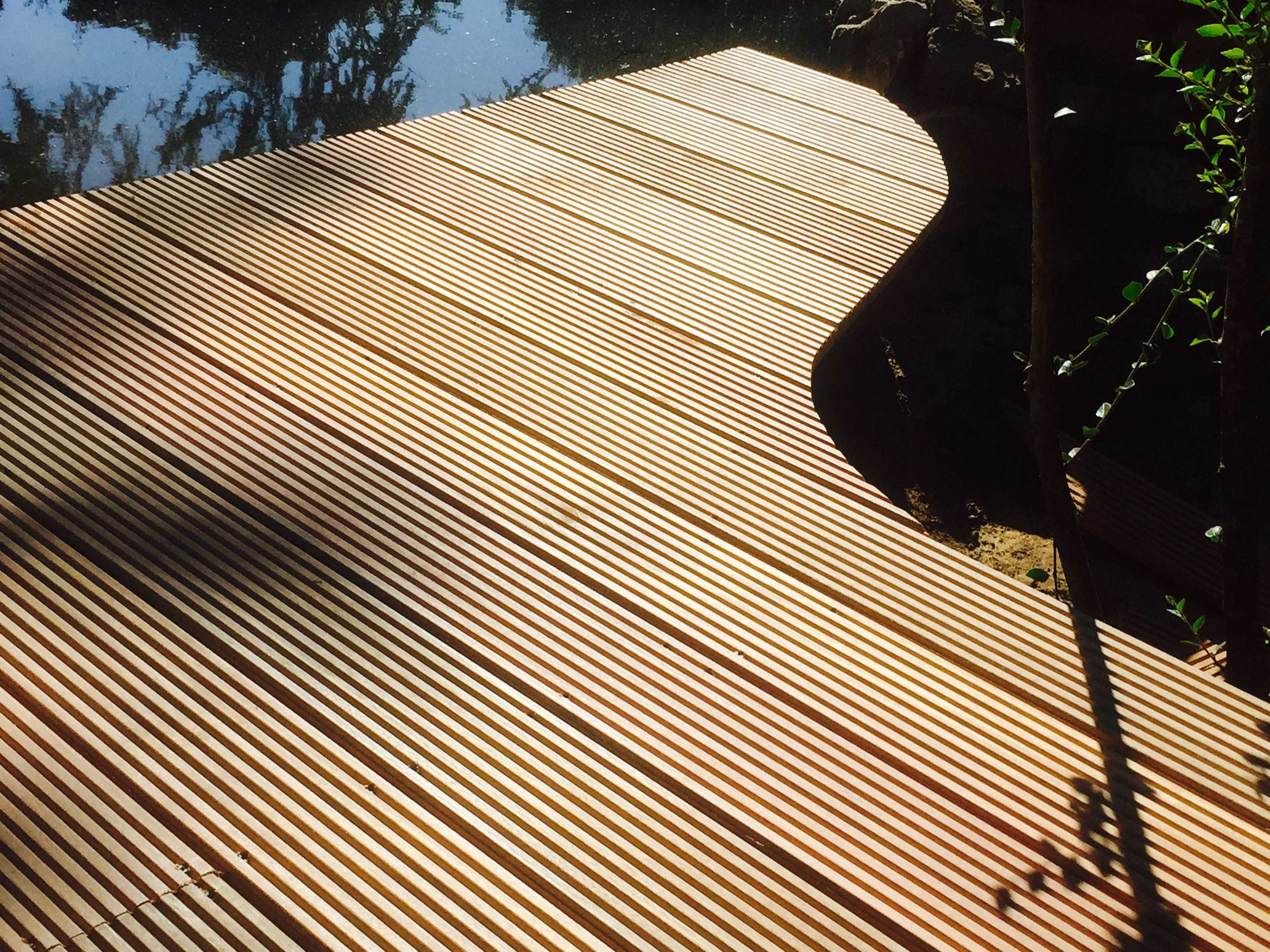 Curved wooden deck with slats, sunlight, shadows, water reflecting trees.