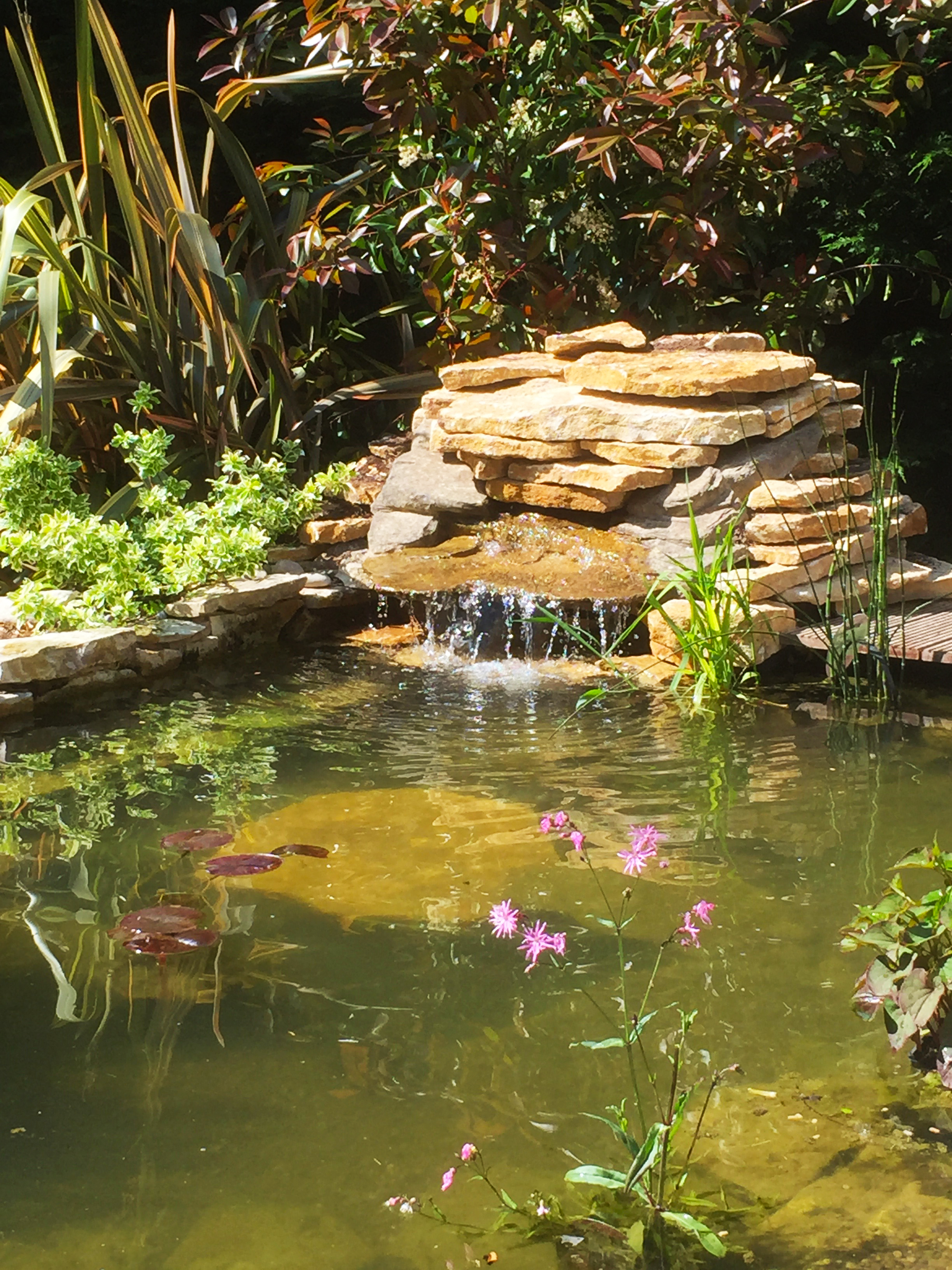 Landscape Designers Devon