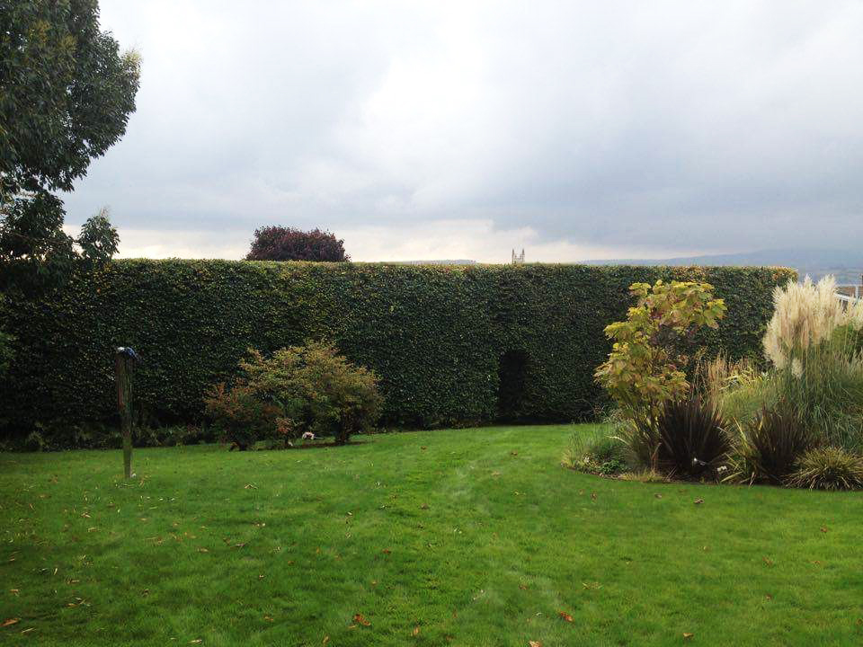 Landscape Designers Devon