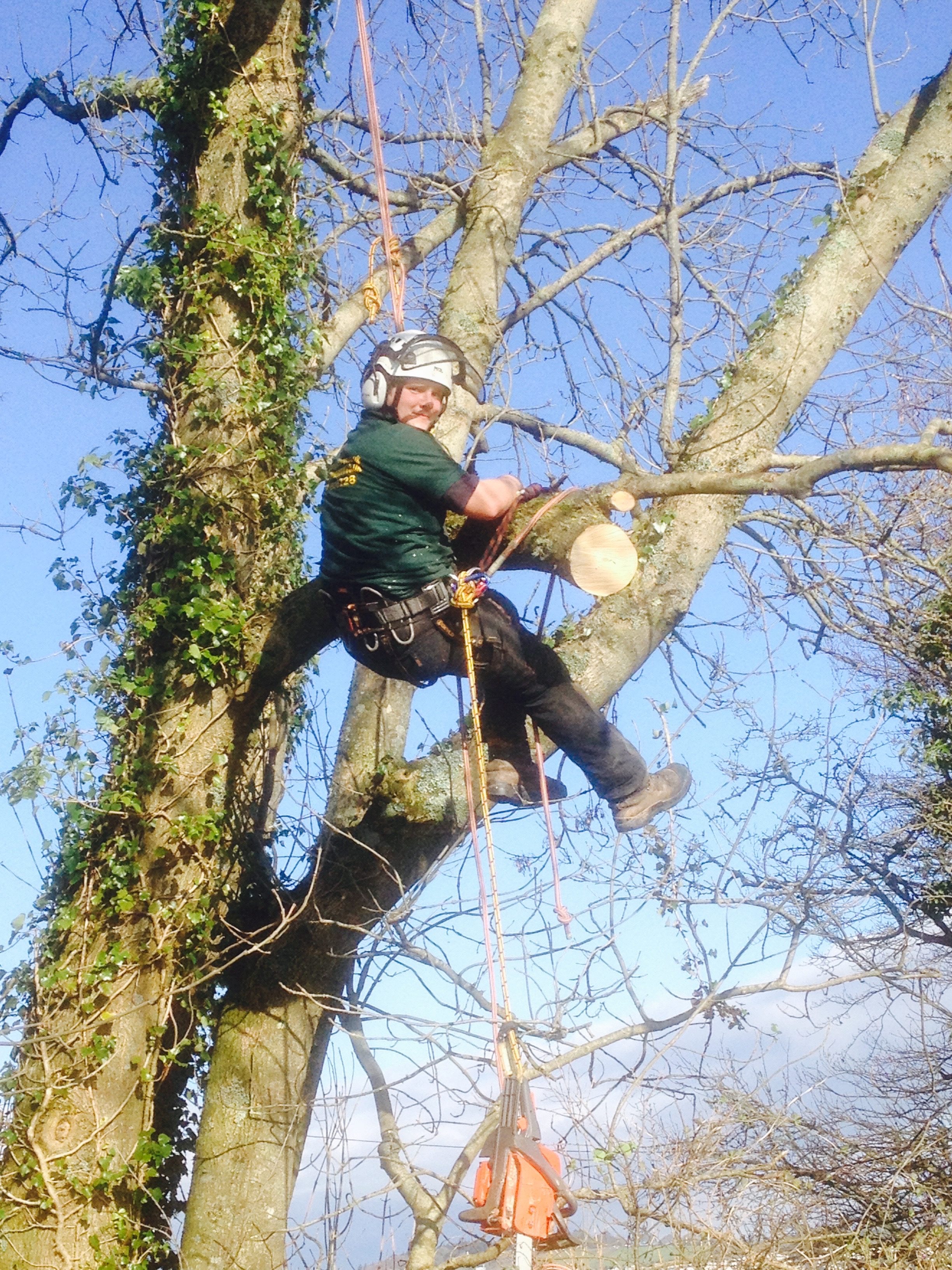 Landscape Designers Devon