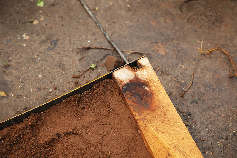 east devon garden maintenance