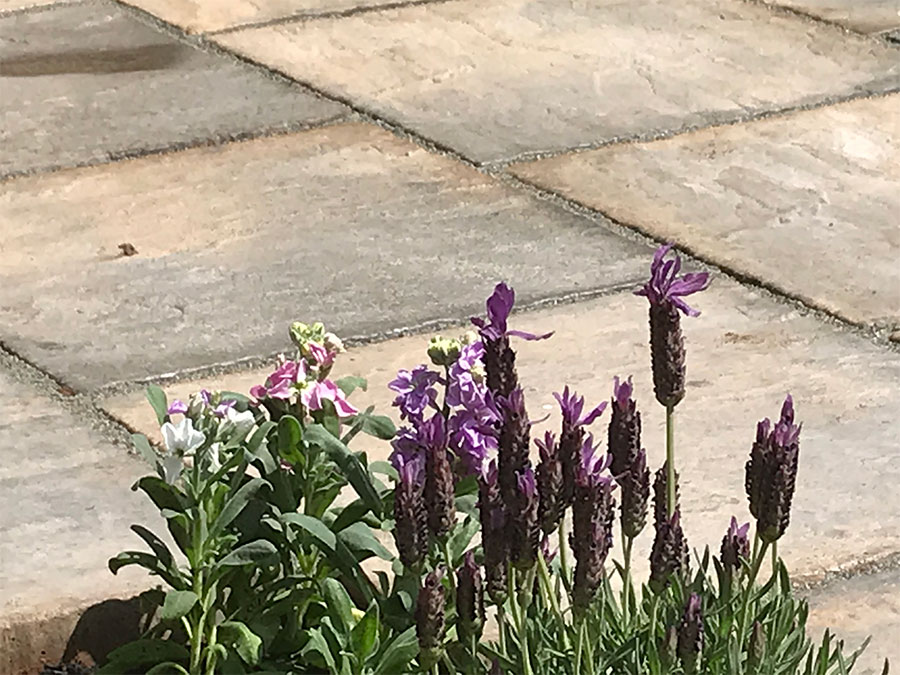 Garden Maintenance East Devon