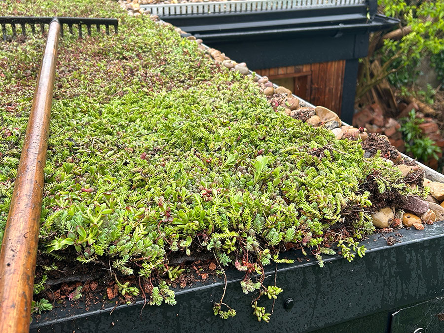 Landscape Designers Devon