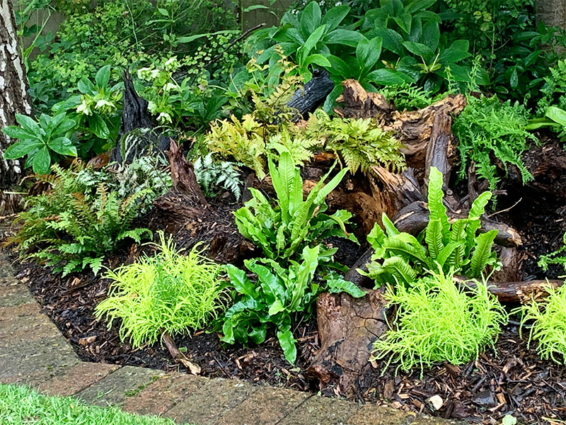 gardeners_east_devon Gardeners East Devon